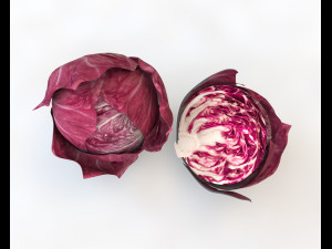 radicchio rounded cabbage 3D Model