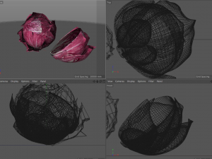 radicchio rounded cabbage 3D Model