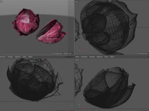 cavolo tondo al radicchio Modello 3D