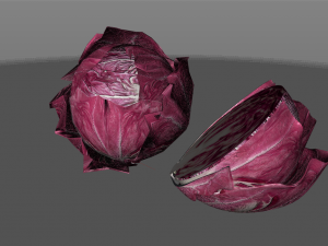 radicchio rounded cabbage 3D Model