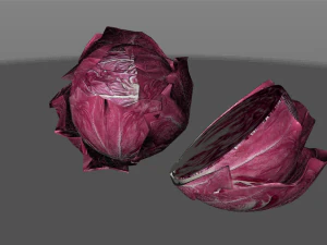 cavolo tondo al radicchio Modello 3D