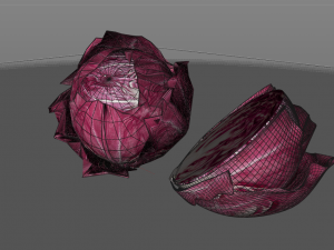 radicchio rounded cabbage 3D Model