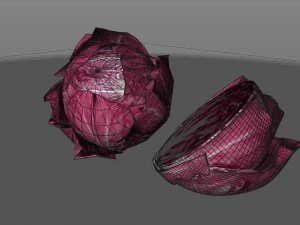 cavolo tondo al radicchio Modello 3D