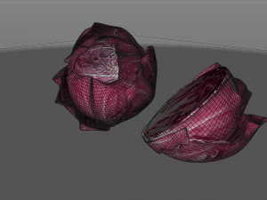 cavolo tondo al radicchio Modello 3D