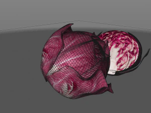 cavolo tondo al radicchio Modello 3D