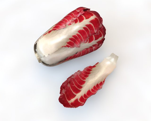 radicchio taller cabbage 3D 模型 .c4d .max .obj .3ds .fbx .stl .blend 
