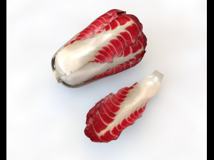 radicchio taller cabbage Modelo 3D