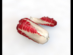 radicchio taller cabbage 3D 模型