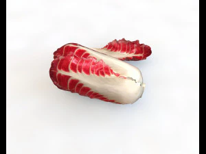 radicchio taller cabbage 3D Model