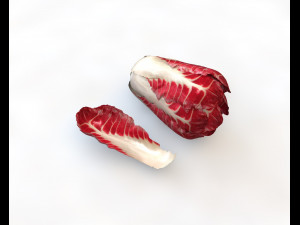 radicchio taller cabbage 3D 模型