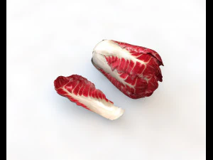 radicchio taller cabbage 3D Model