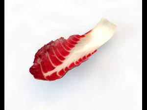 radicchio taller cabbage 3D Model
