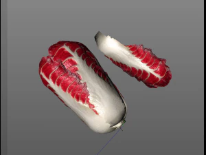 radicchio taller cabbage 3D Model