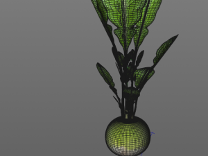 radish green Model 3D
