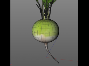 radish green Model 3D