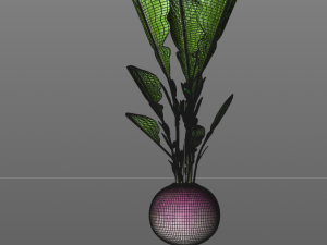 radish pink 3D Модель