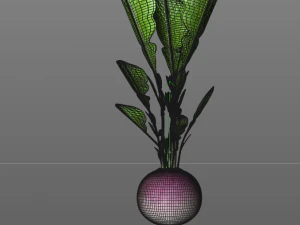 radish pink 3D Model