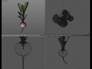 radish pink 3D Модель
