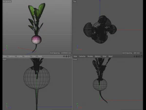 radish pink 3D Model