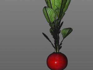 radish red 3Dモデル