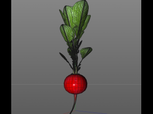 radish red 3Dモデル