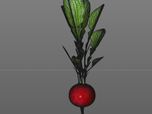 radish red 3Dモデル