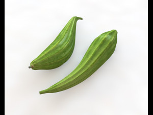 ridge gourd 3D Model