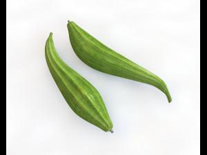 ridge gourd 3D Model