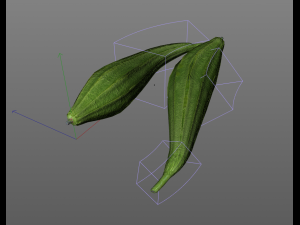 ridge gourd 3D Model