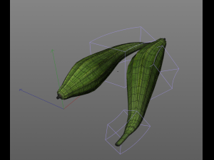 ridge gourd 3D Model