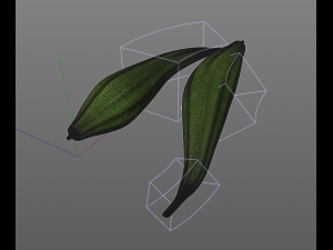 ridge gourd 3D Model