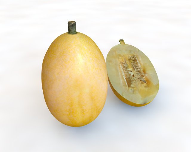 spaghetti squash 3D-Modell .c4d .max .obj .3ds .fbx .stl .blend 