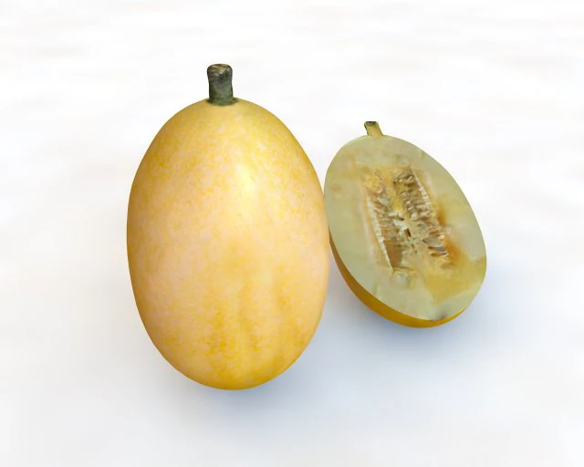 courge spaghetti Modèle 3D .c4d .max .obj .3ds .fbx .stl .blend 