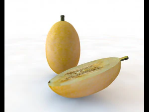 courge spaghetti Modèle 3D