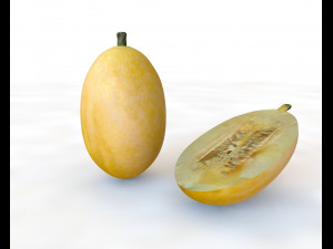 spaghetti squash 3D-Modell
