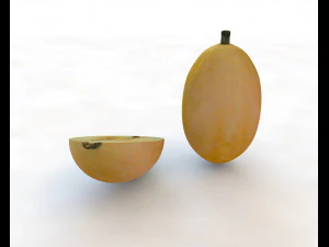 courge spaghetti Modèle 3D