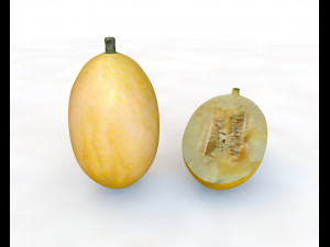 spaghetti squash 3D-Modell