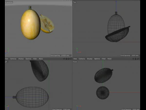 courge spaghetti Modèle 3D