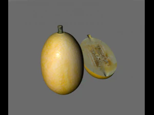 courge spaghetti Modèle 3D