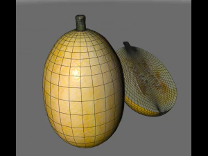 courge spaghetti Modèle 3D