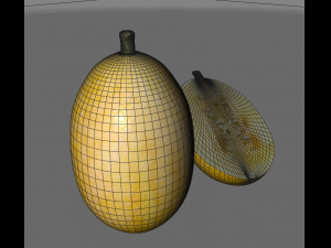 spaghetti squash 3D-Modell