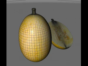 courge spaghetti Modèle 3D