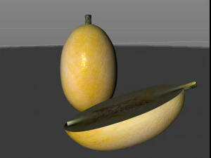 courge spaghetti Modèle 3D