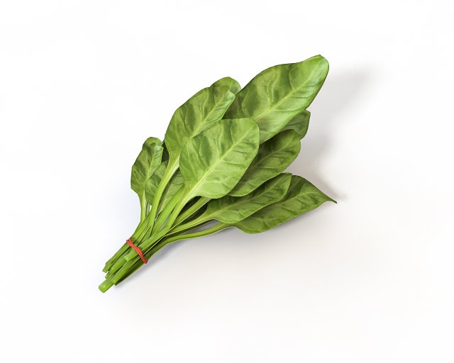 spinach 3D Model .c4d .max .obj .3ds .fbx .stl .blend 
