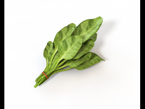 spinach Modelo 3D