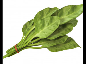 spinach 3D Model