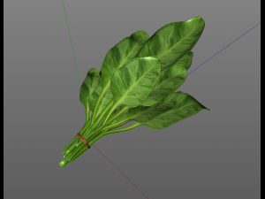 spinach 3D Model