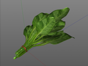 spinach 3D Model