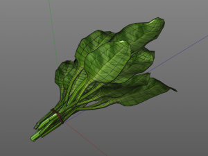 spinach 3D Model