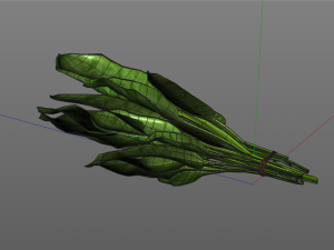 spinach 3D Model